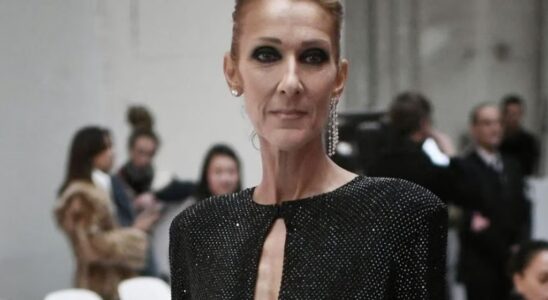 Céline Dion 3